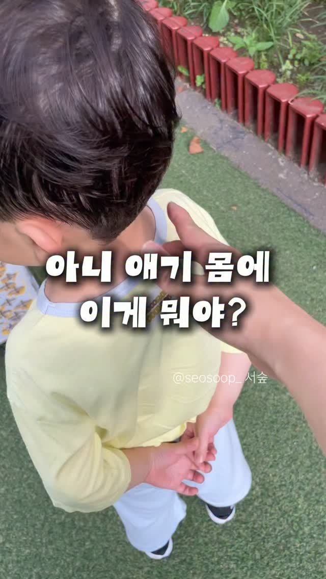 수박 다쿠아즈