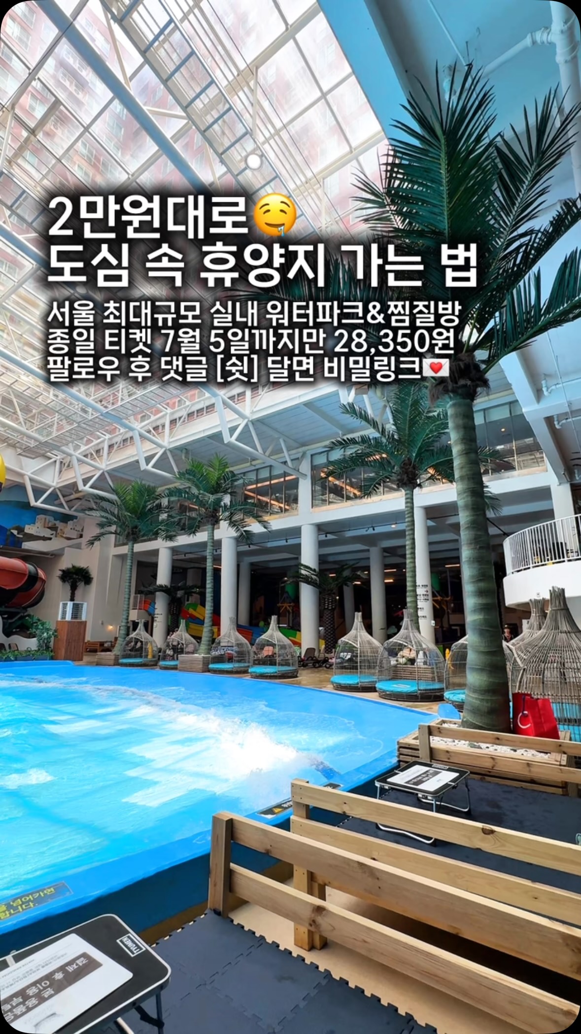 애니메이 크리스마스 세트