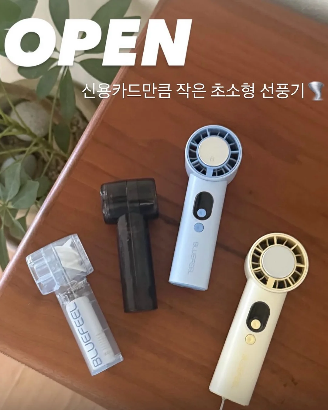자석젤 페디 1