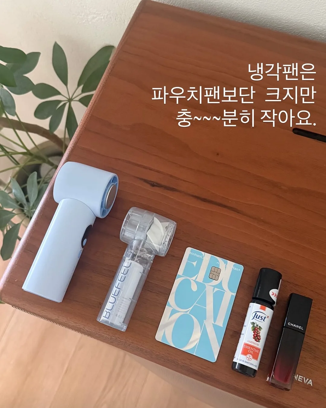 자석젤 페디 9