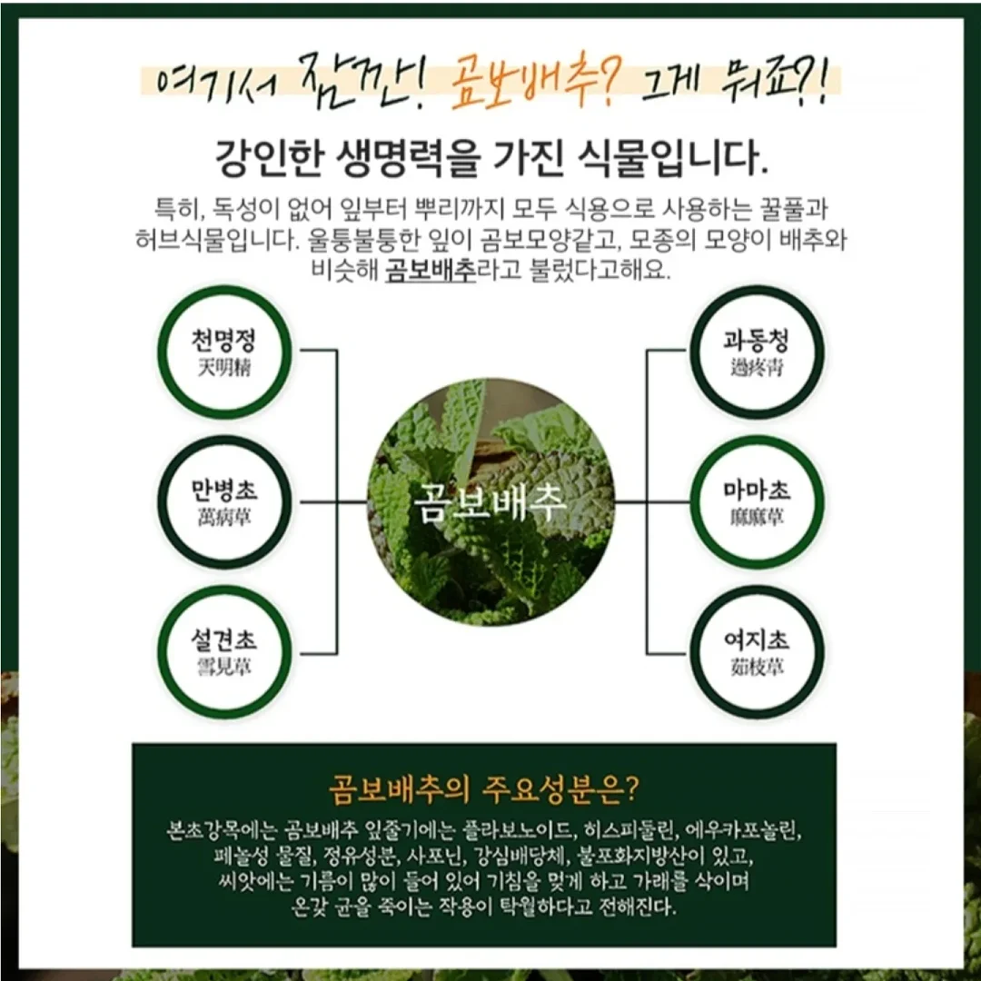 단백질 파우더 2