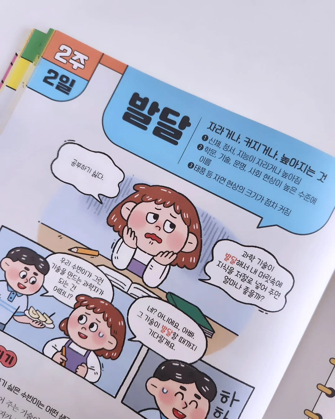 센서티브 건조기시트 11