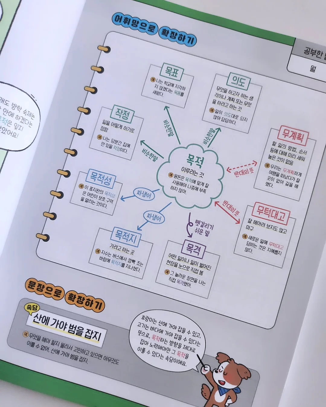 센서티브 건조기시트 10