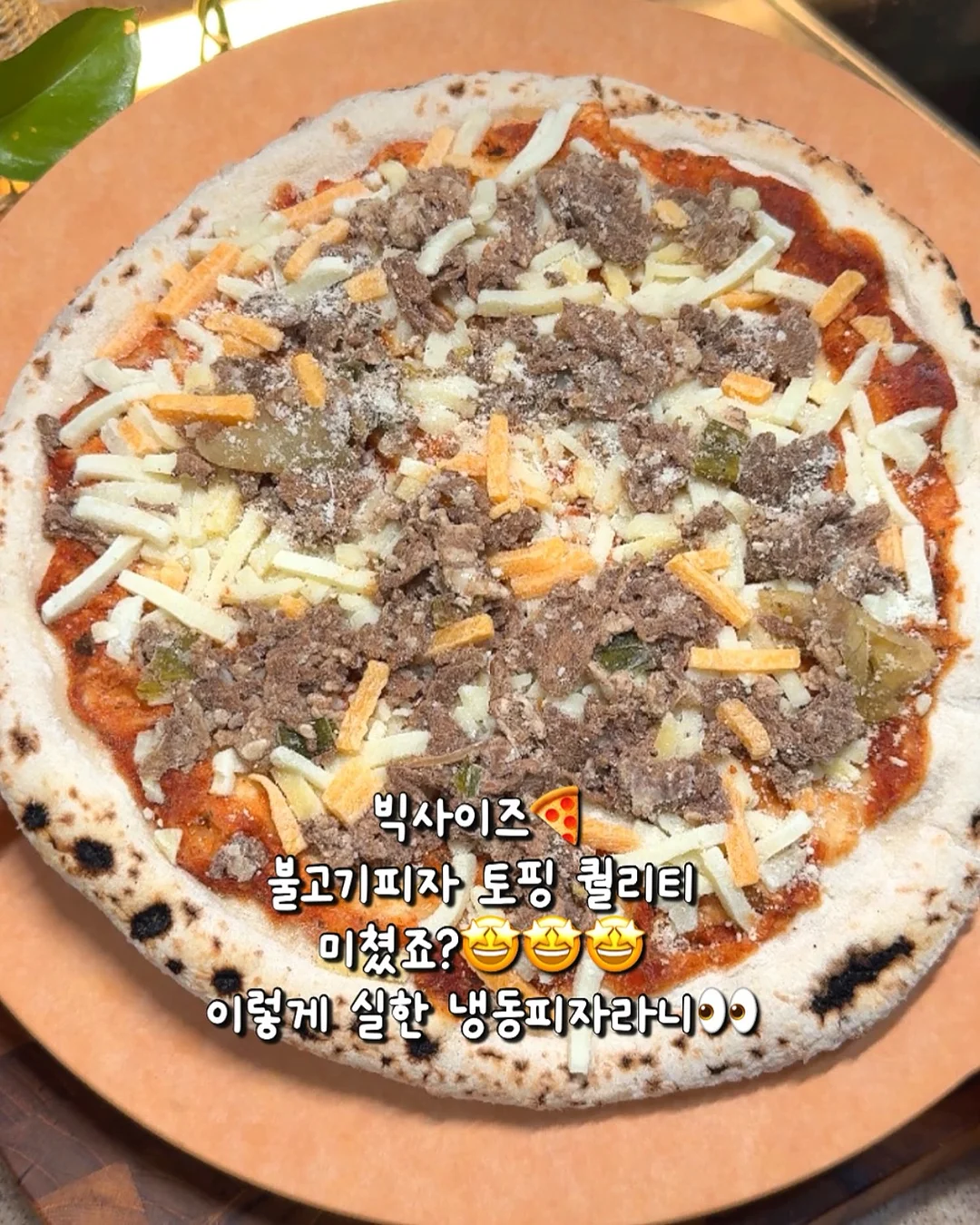 첫돌 기념촬영 포레스트 그린 2컷 3
