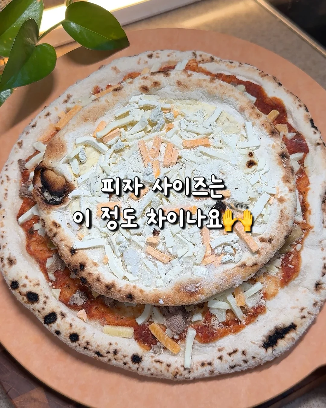 첫돌 기념촬영 포레스트 그린 2컷 4