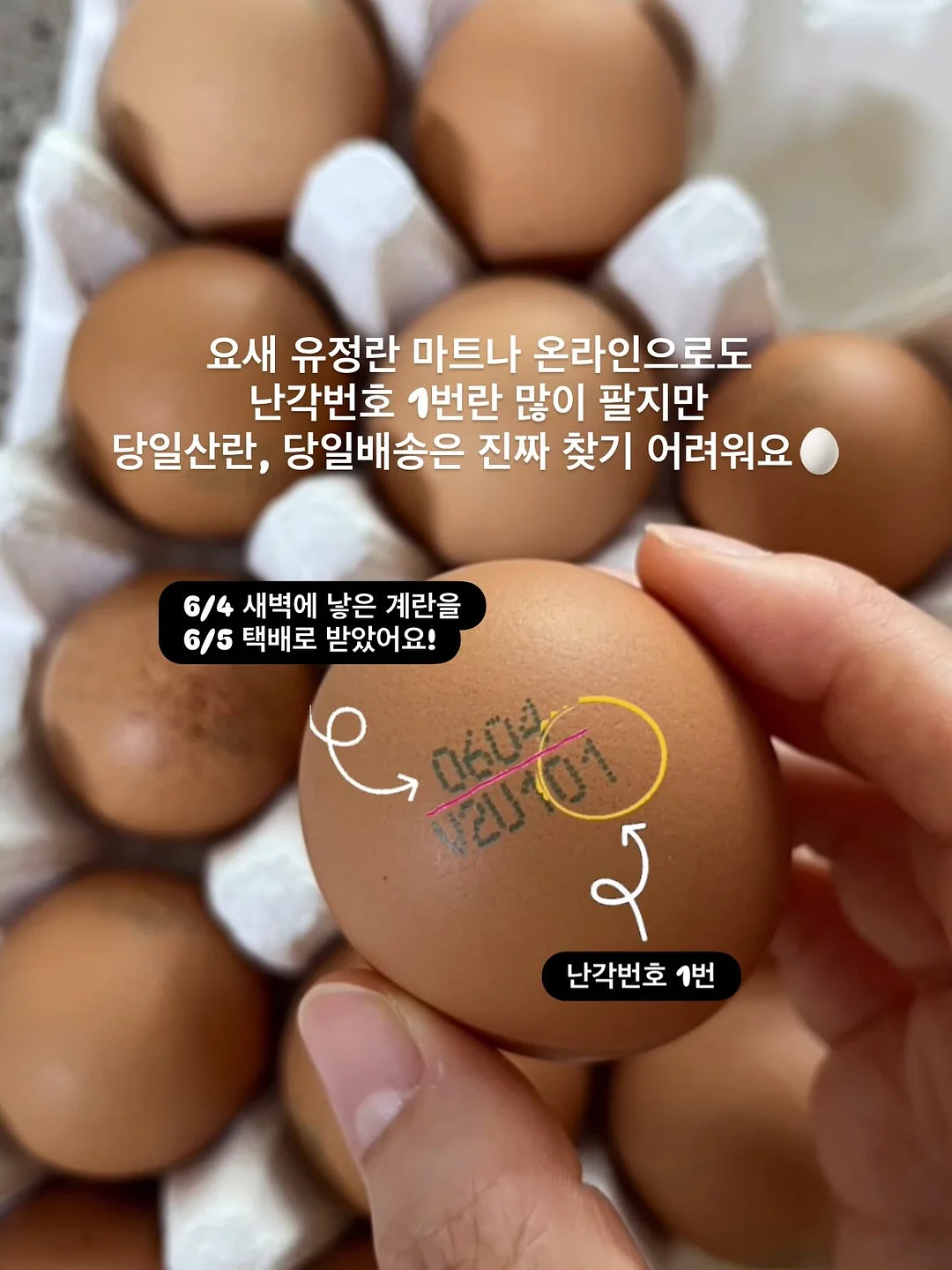 오픈카라 3