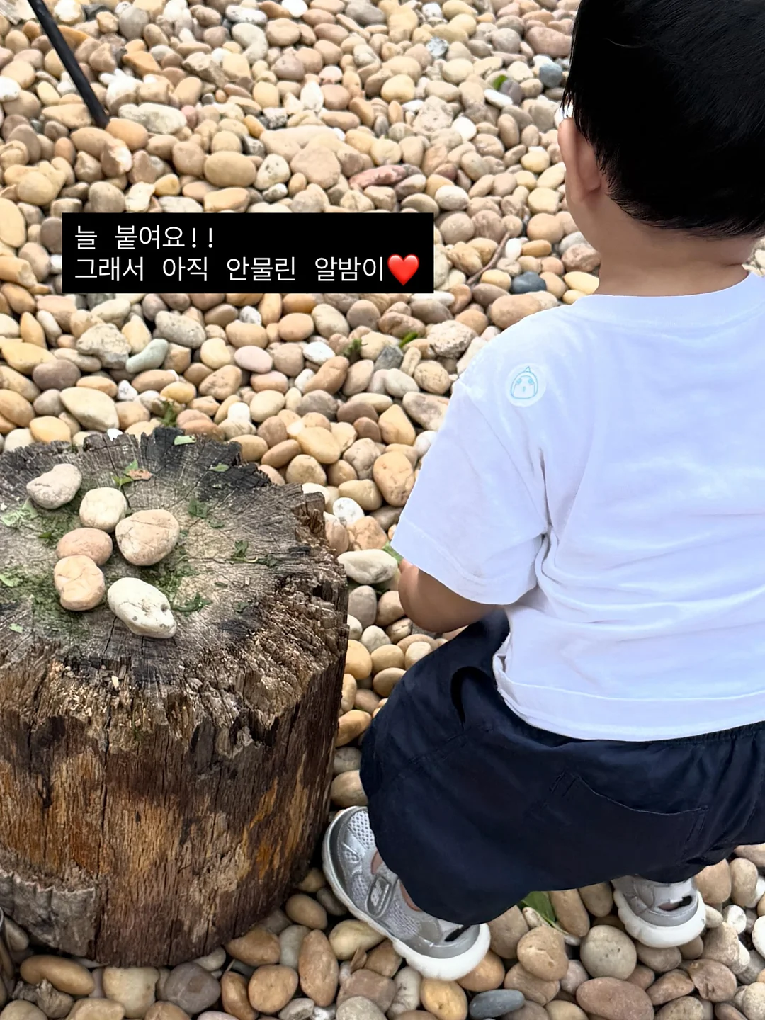 전자렌지 덮개 10