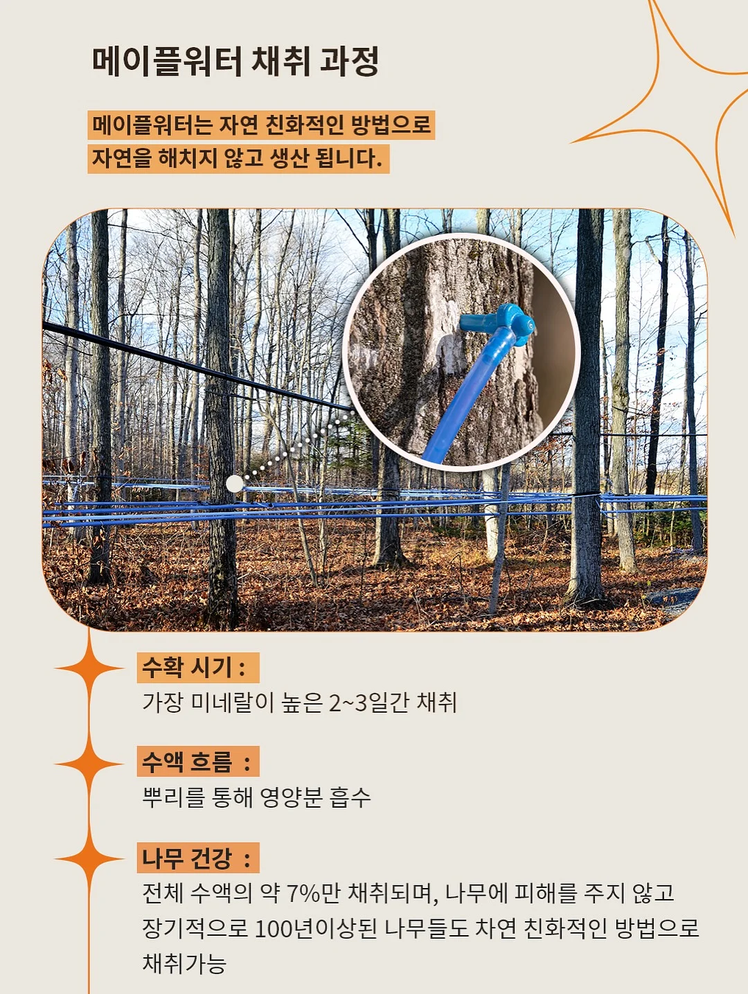 니트 13