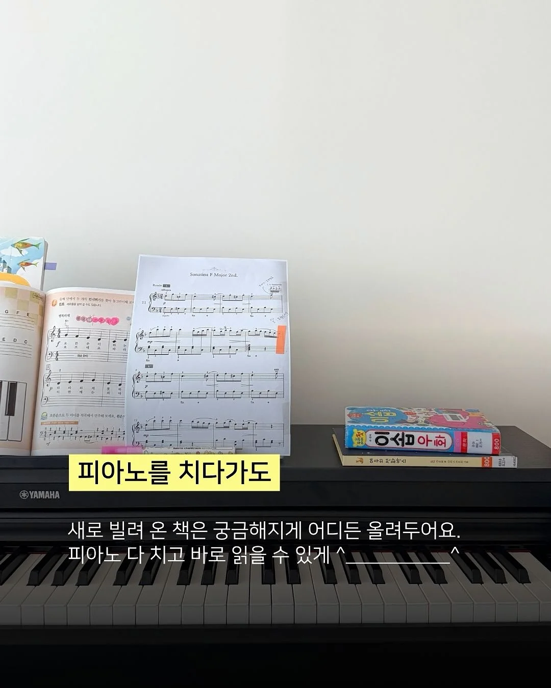 남자 눈썹 증모 3