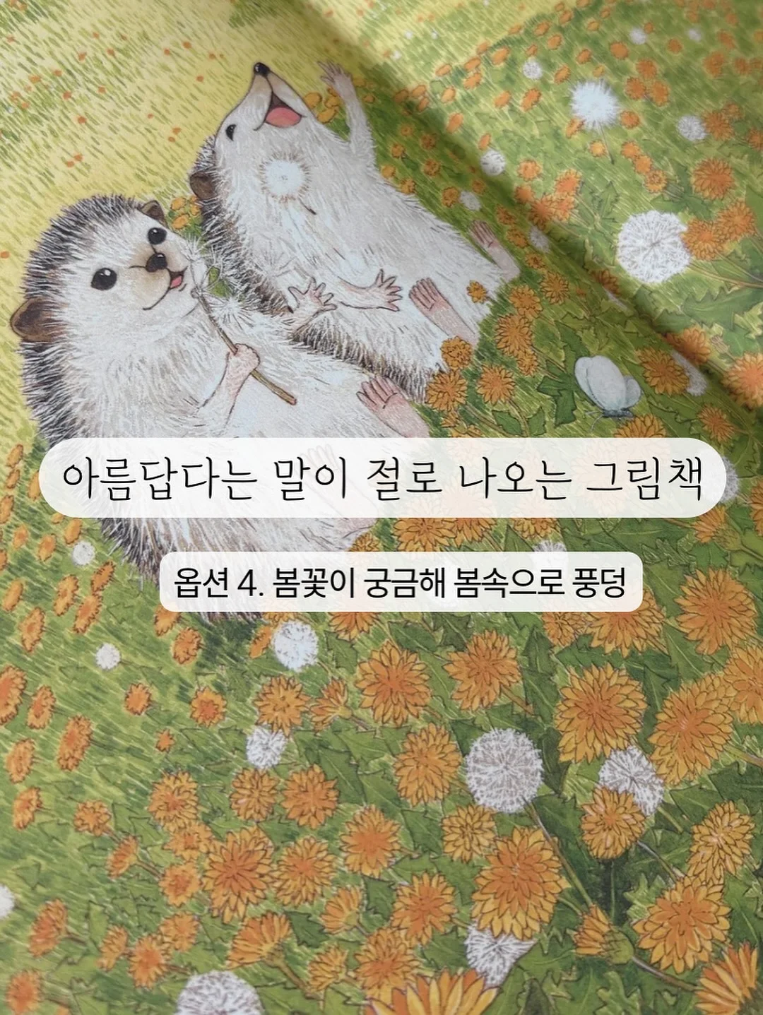 제니튼 치약 17