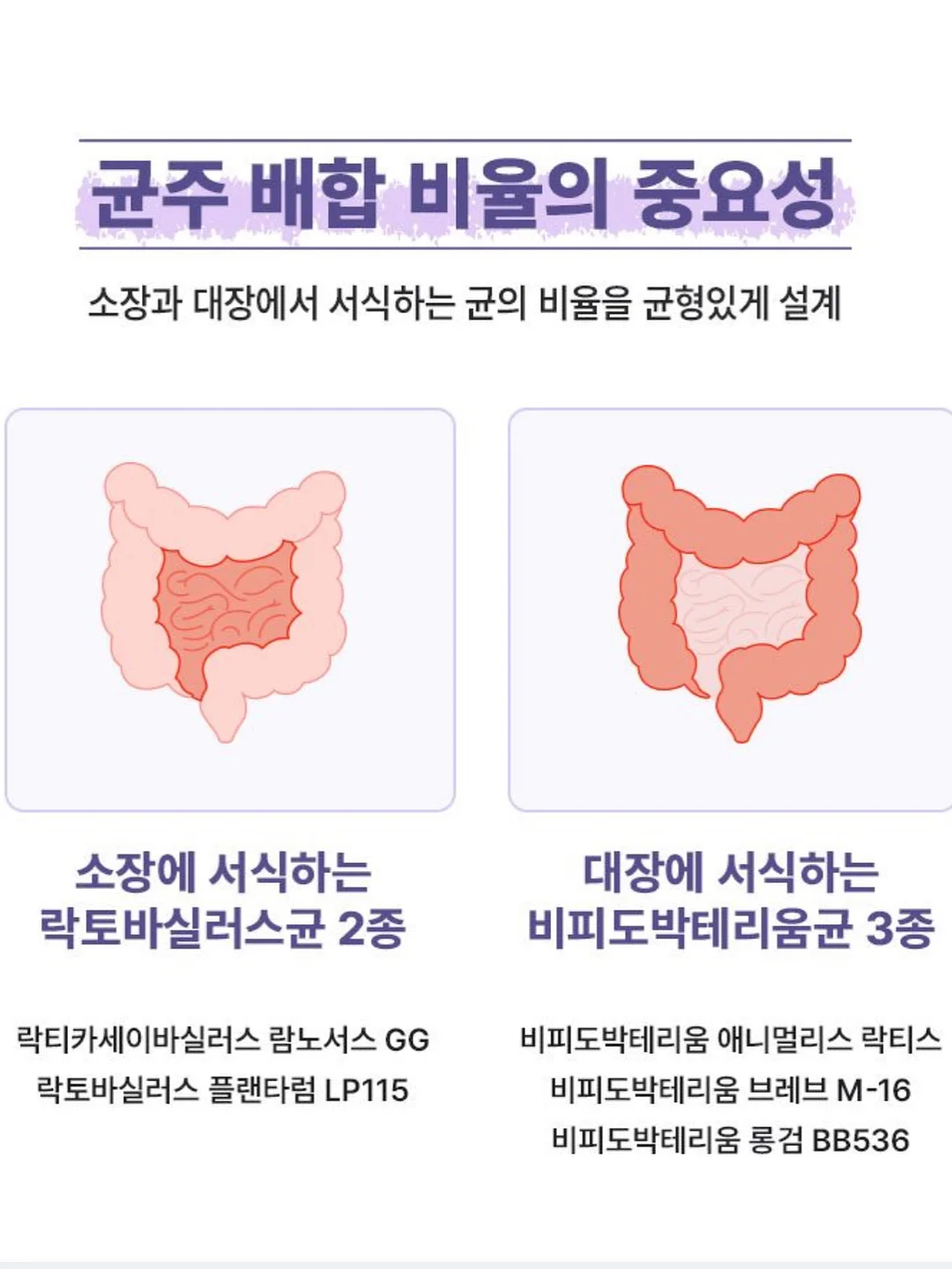 실버반지 12