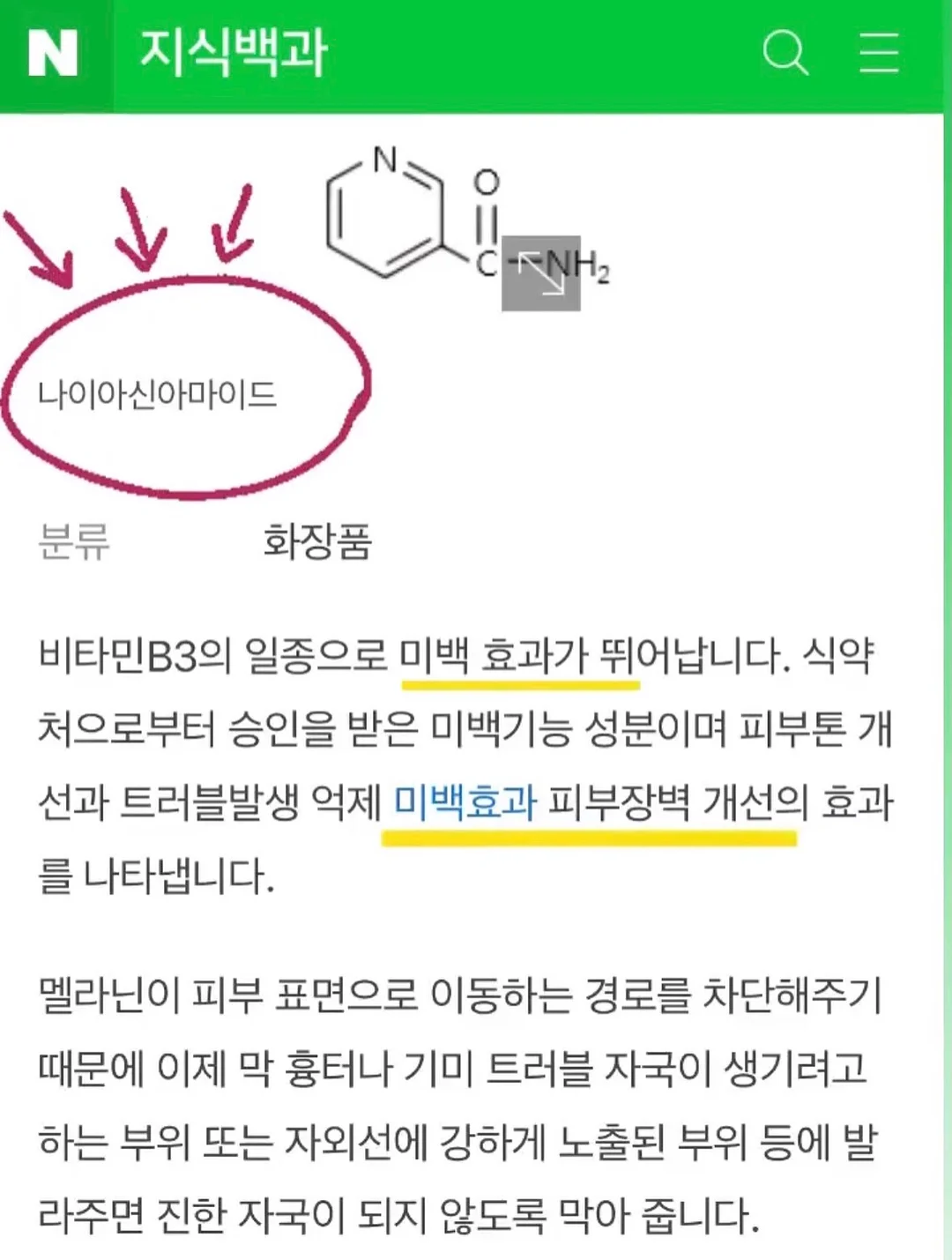마린 향해사 키티 3