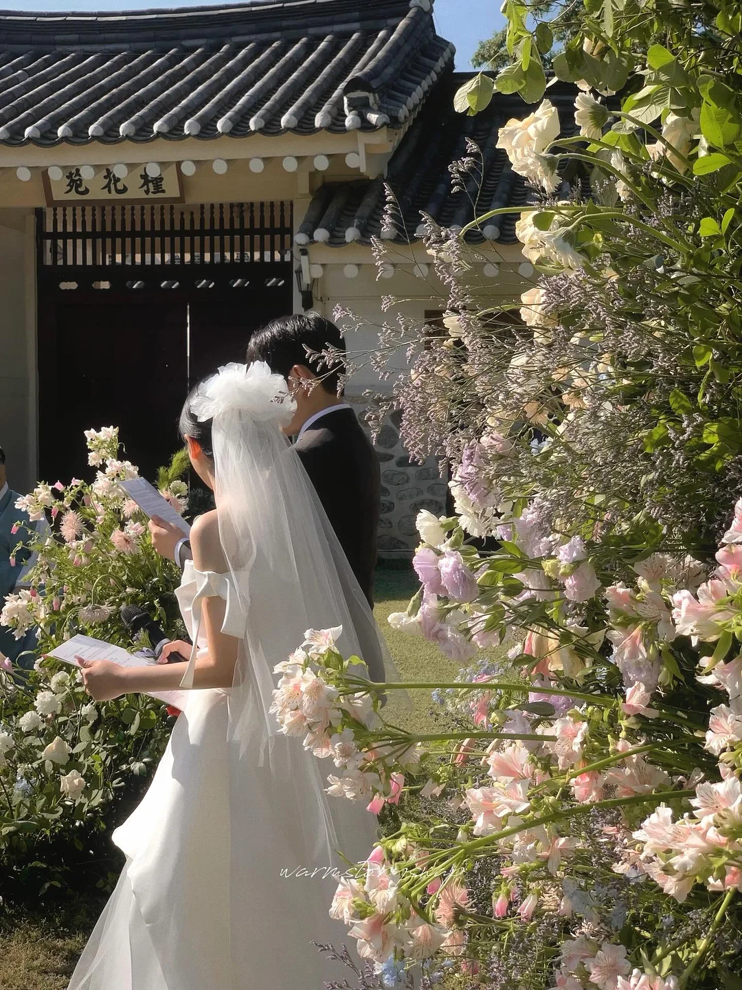 몽쿨 모기기피제 2
