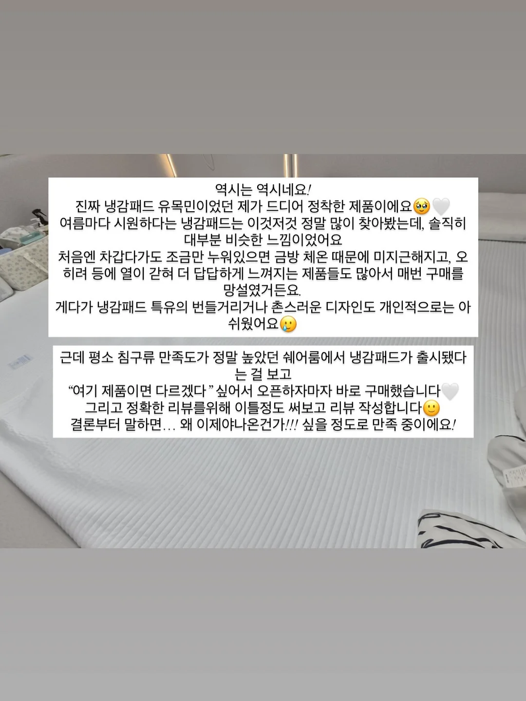팁스팁스 네일팁 10