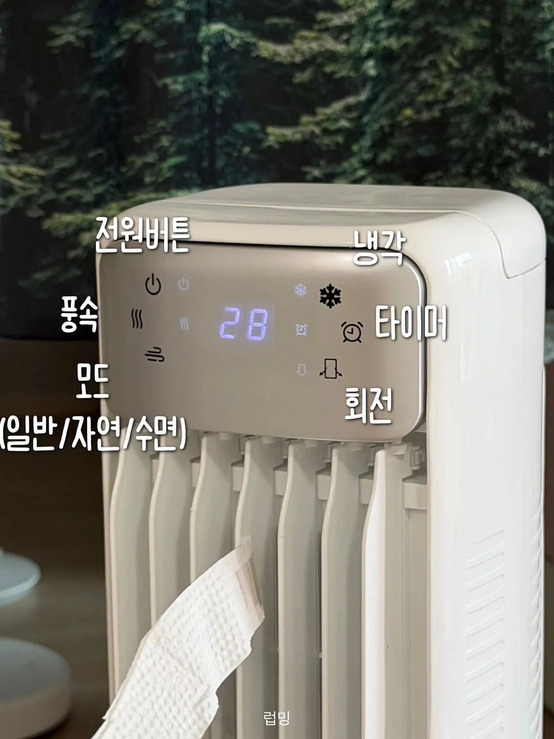 행주비누 4
