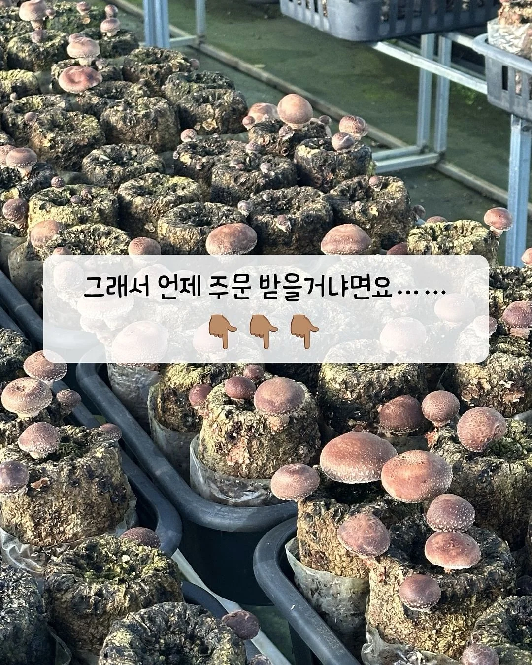 라곰 클렌징 젤/폼 기획 6