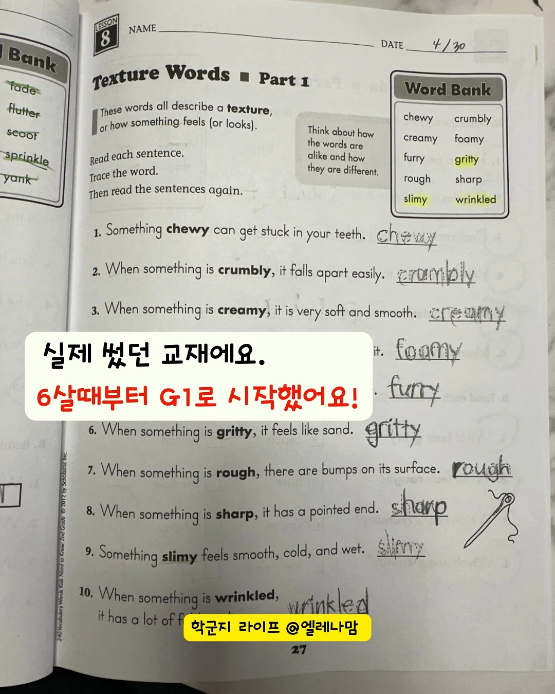 토마토 엠보 포인트 아트 3