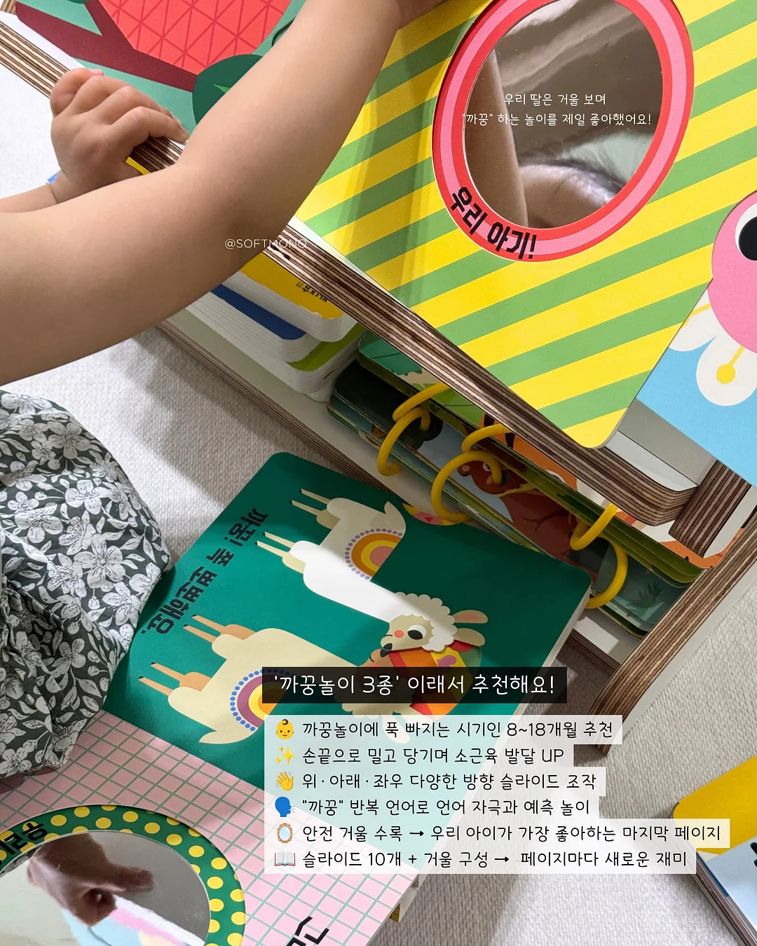과일화과자 5