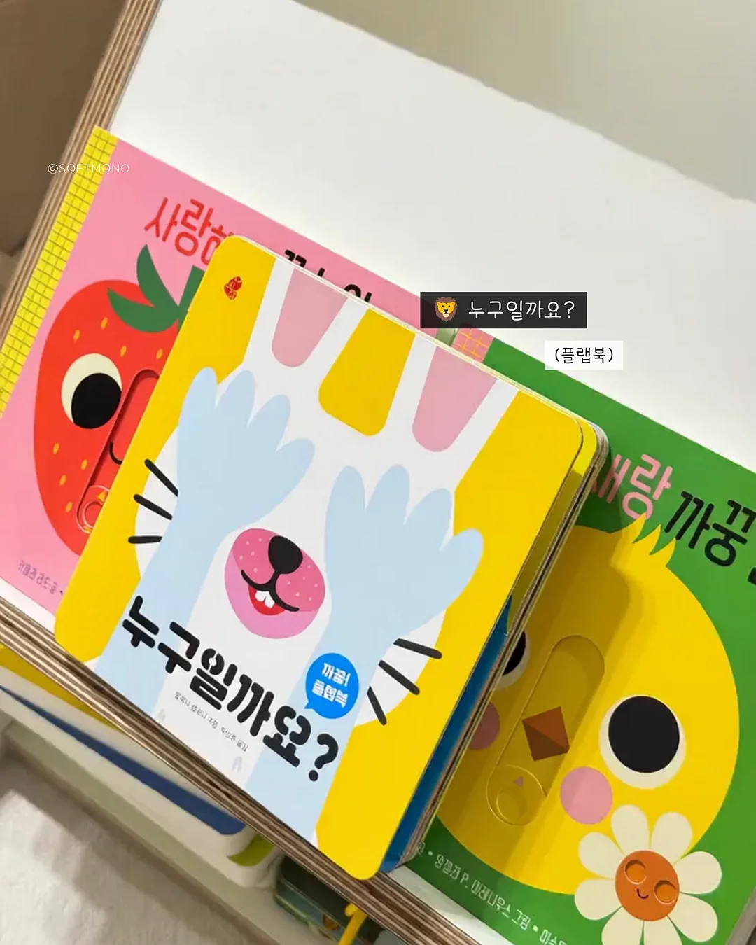 과일화과자 8