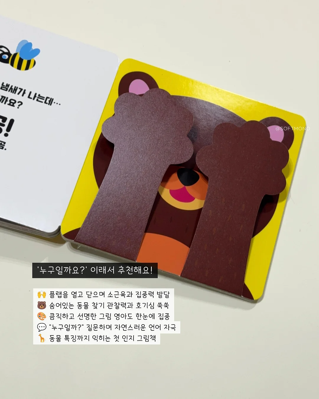 과일화과자 9