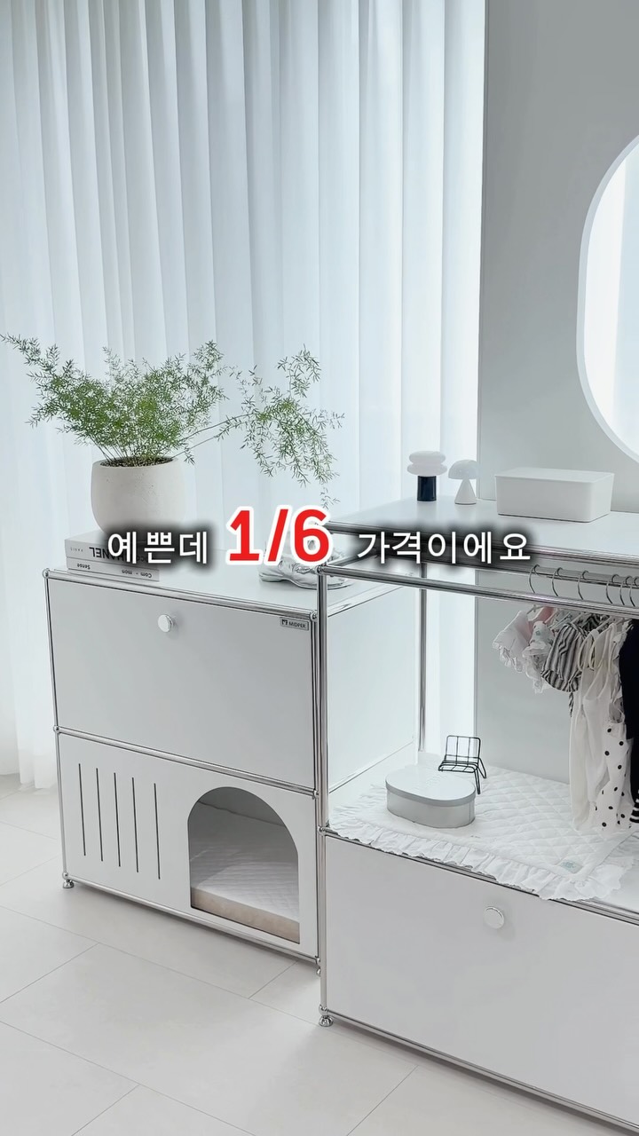 쇼펜하우어 인생 수업