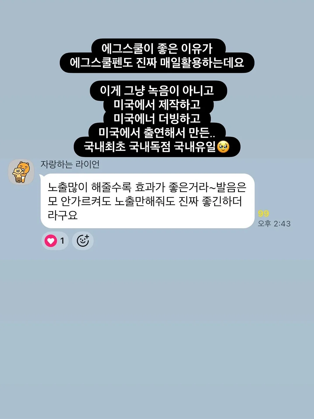 클래식초코케이크 7