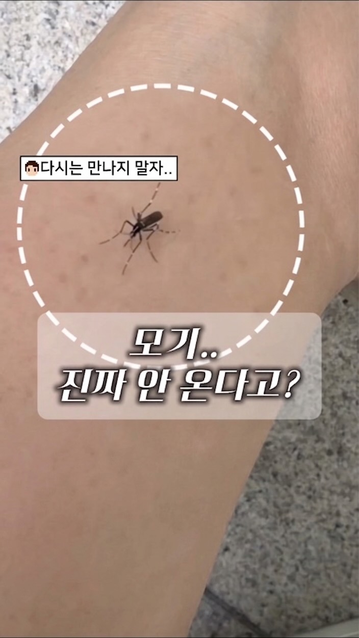 오프라 하이라이터 청사과 색