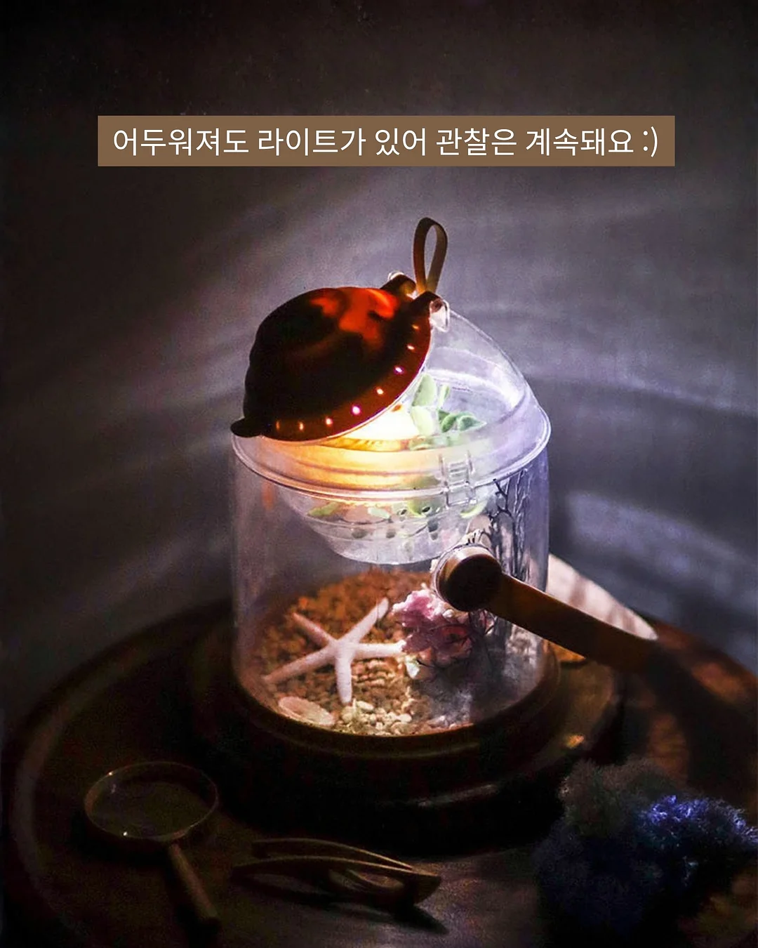 벚꽃 모나카견과칩 4