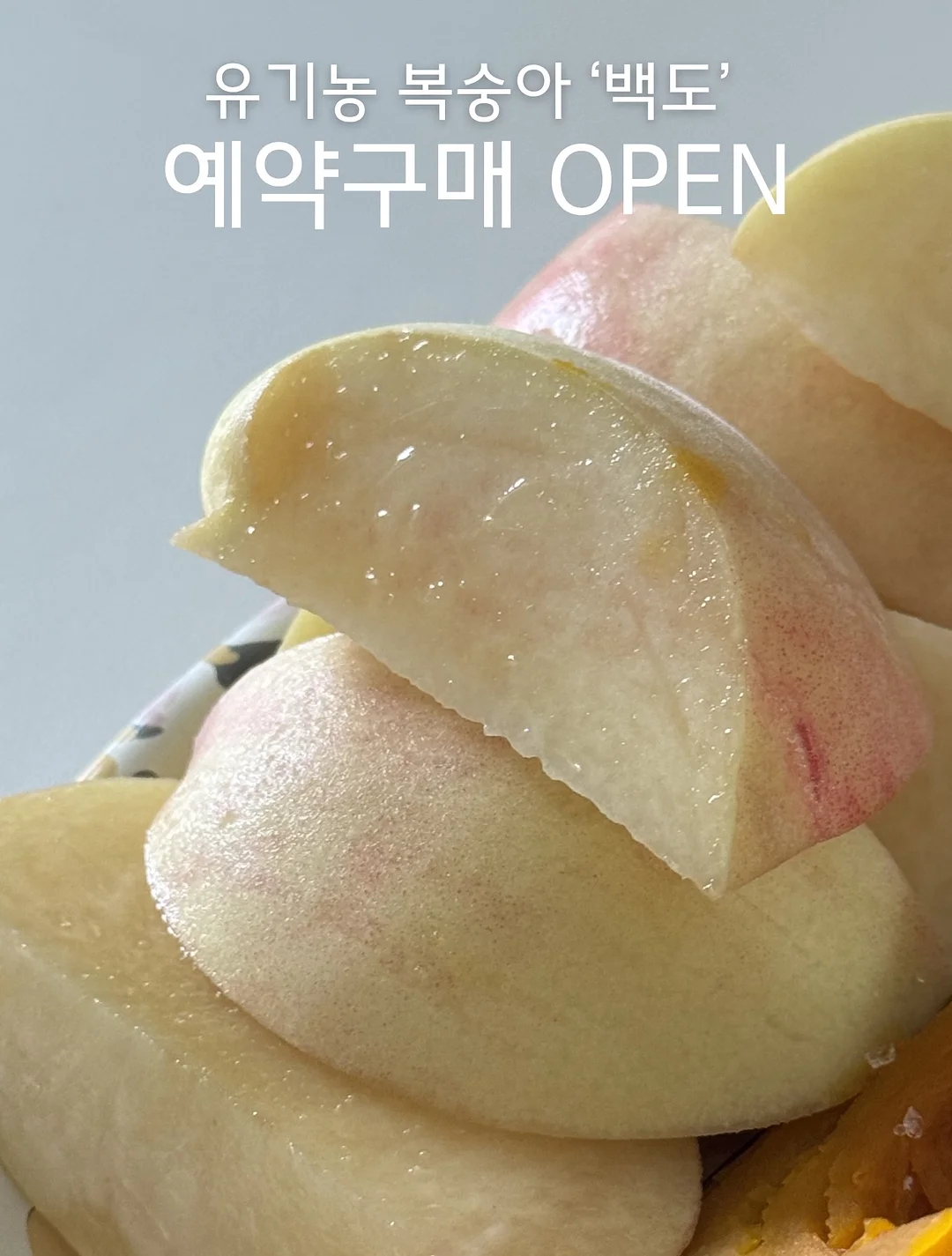 르쏭드비 슬림핏 시어 니트가디건 1
