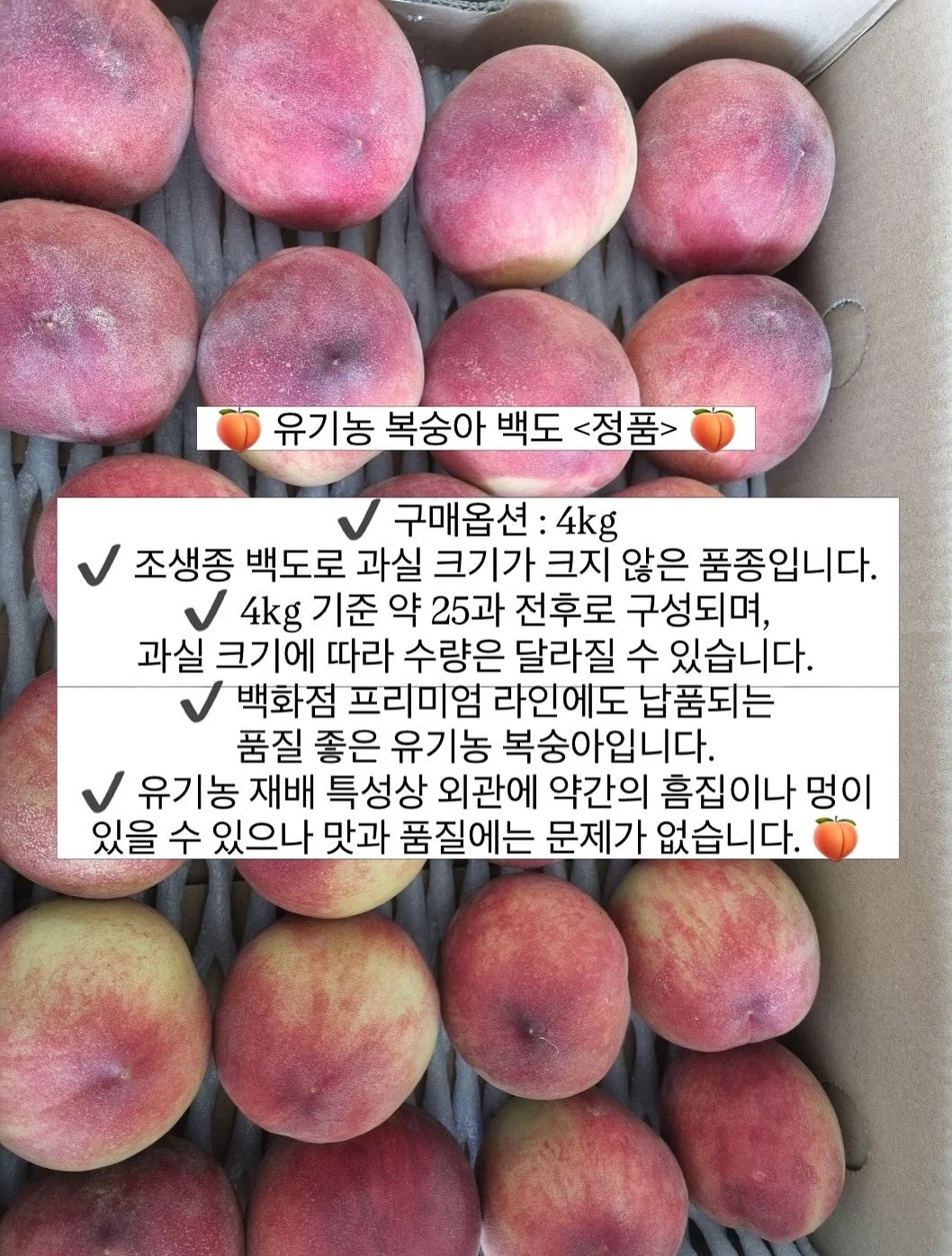 르쏭드비 슬림핏 시어 니트가디건 12