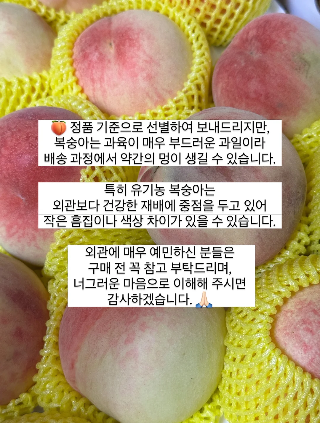 르쏭드비 슬림핏 시어 니트가디건 13