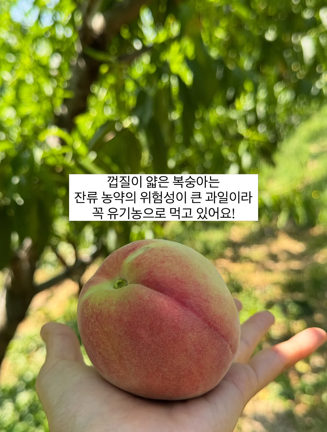 르쏭드비 슬림핏 시어 니트가디건 4