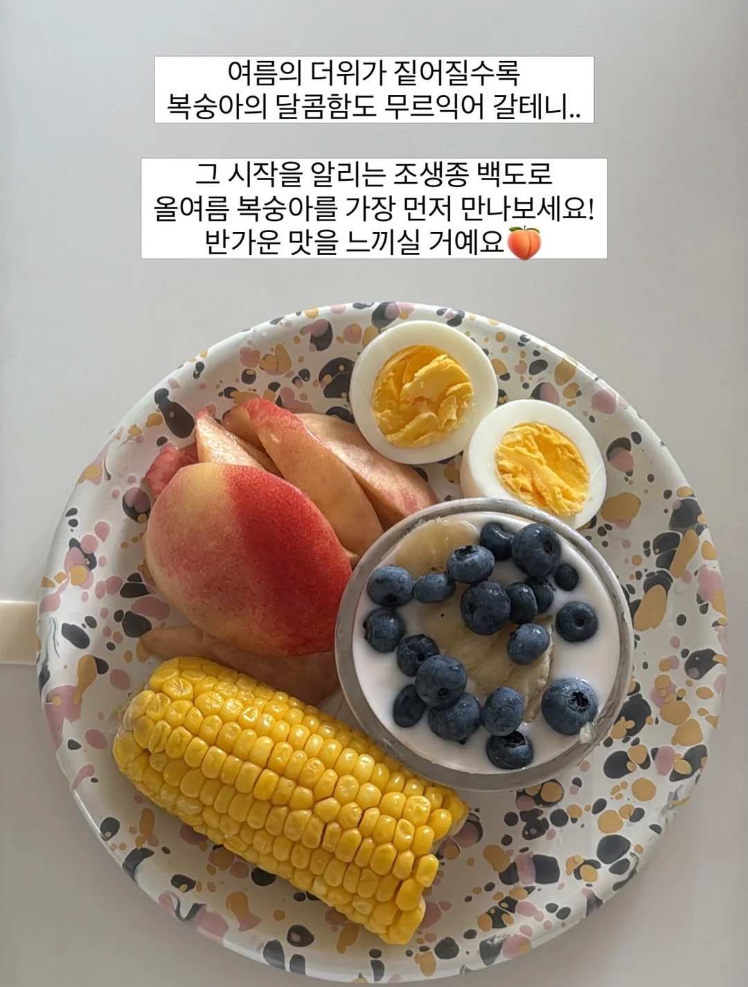 르쏭드비 슬림핏 시어 니트가디건 10