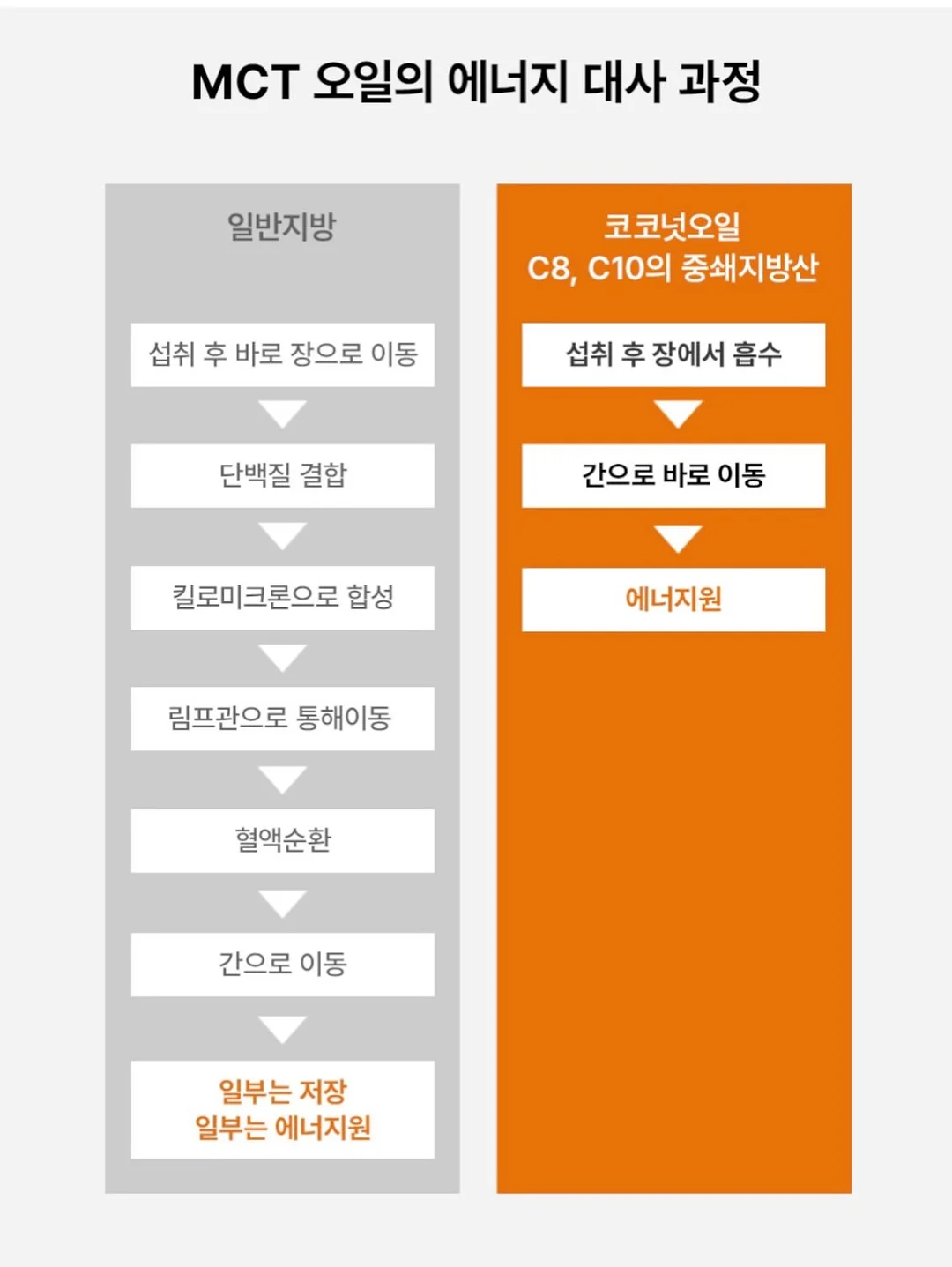 무스너클 여M 11