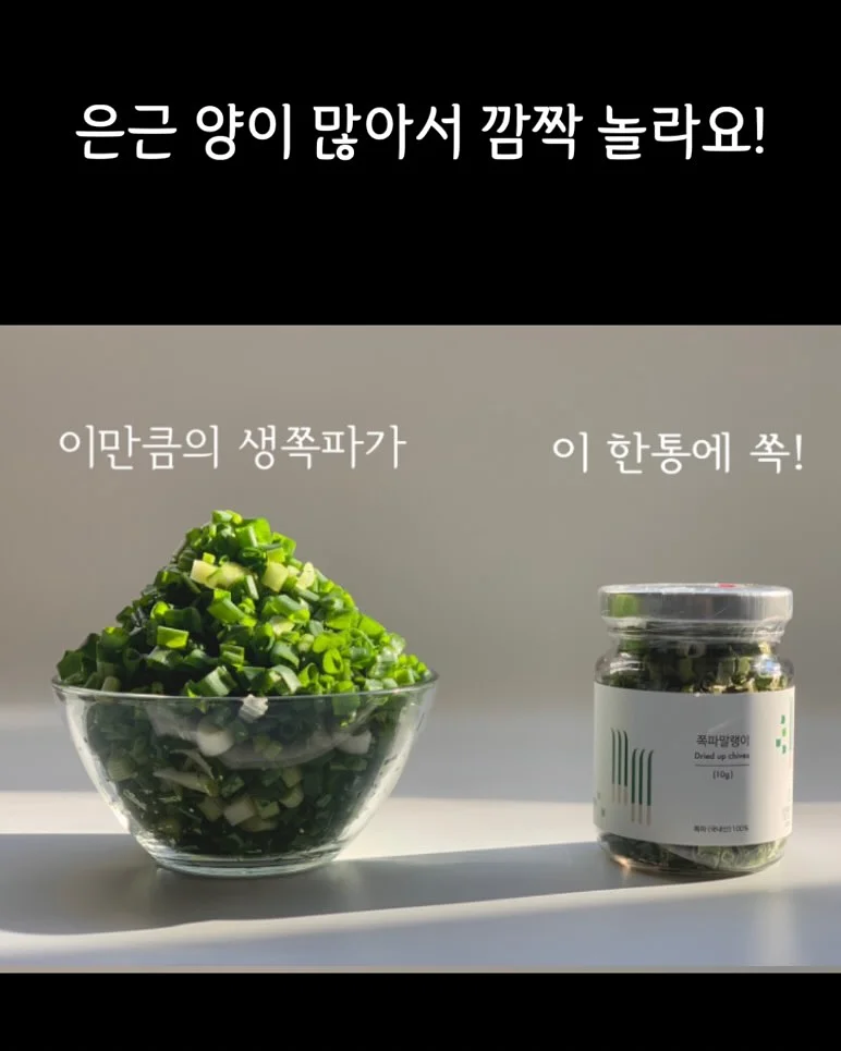 독서등 5