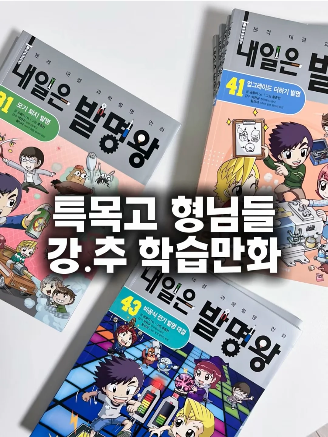 포항 도시락 케이크 1