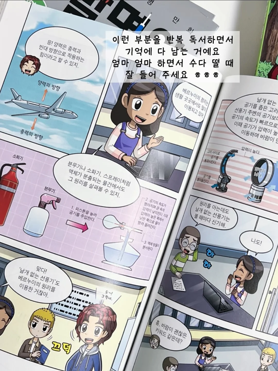 포항 도시락 케이크 12
