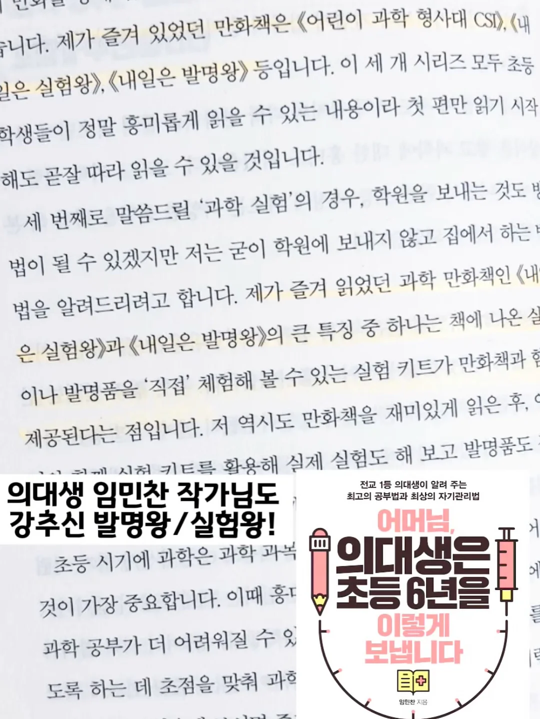포항 도시락 케이크 3