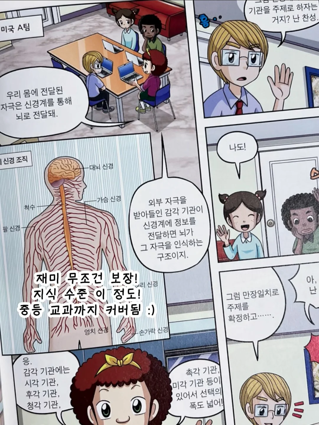 포항 도시락 케이크 9