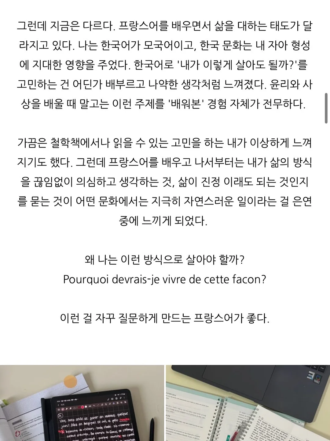트레이더조 신상 에코백 2