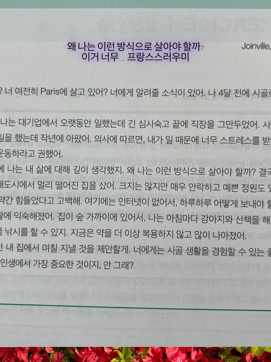 트레이더조 신상 에코백 9