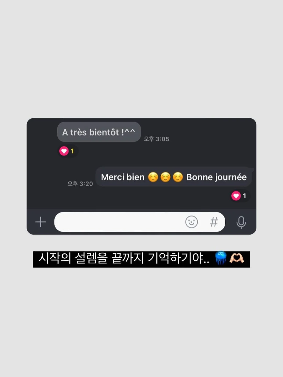트레이더조 신상 에코백 10