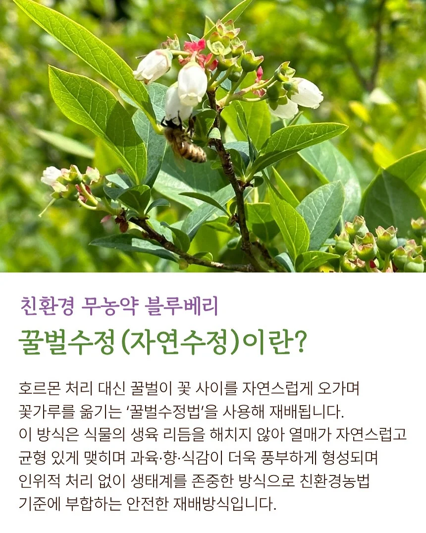 미스 디올 로즈 리추얼 핸드 크림 세트 11