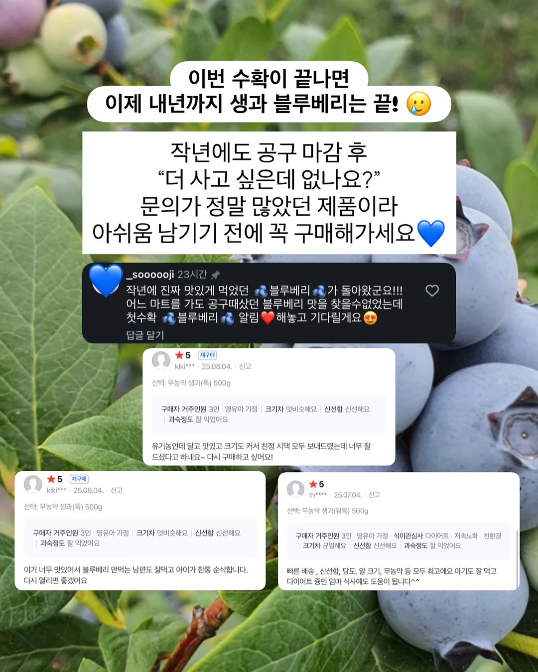 미스 디올 로즈 리추얼 핸드 크림 세트 5