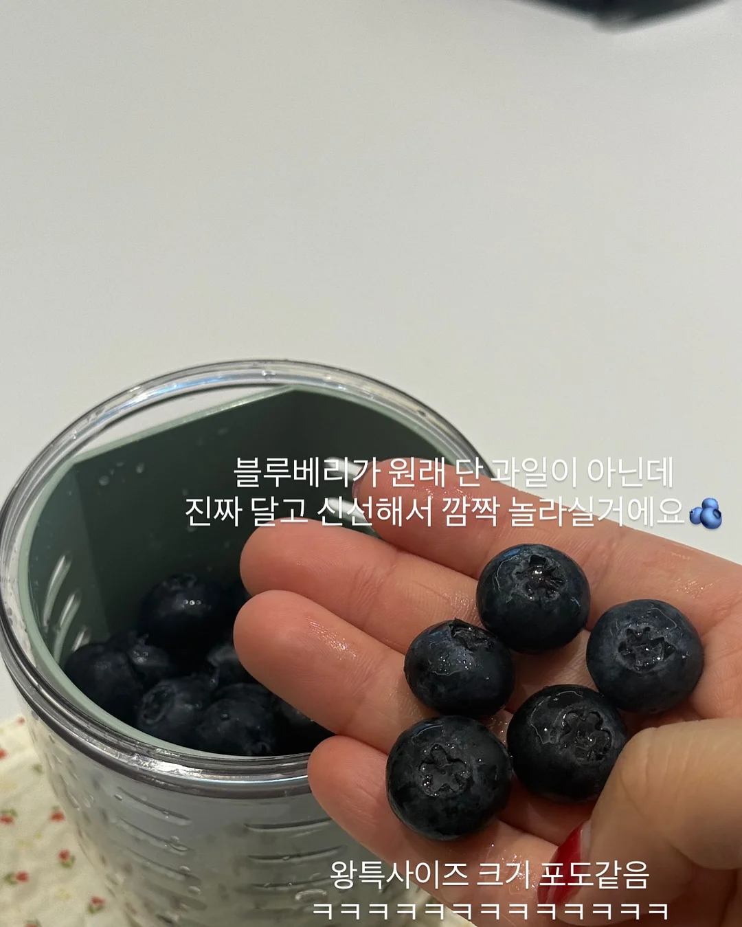 미스 디올 로즈 리추얼 핸드 크림 세트 7