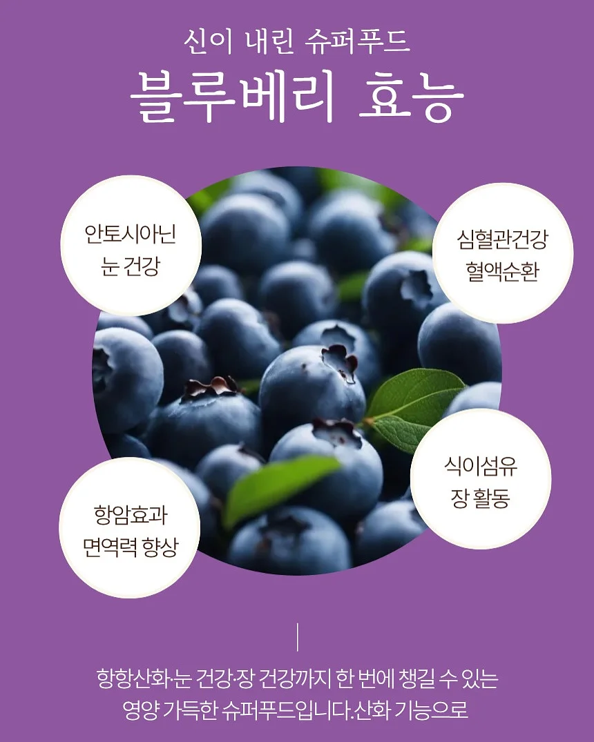 미스 디올 로즈 리추얼 핸드 크림 세트 9