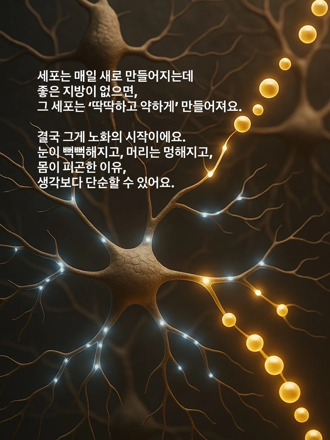 신선복숭아 6