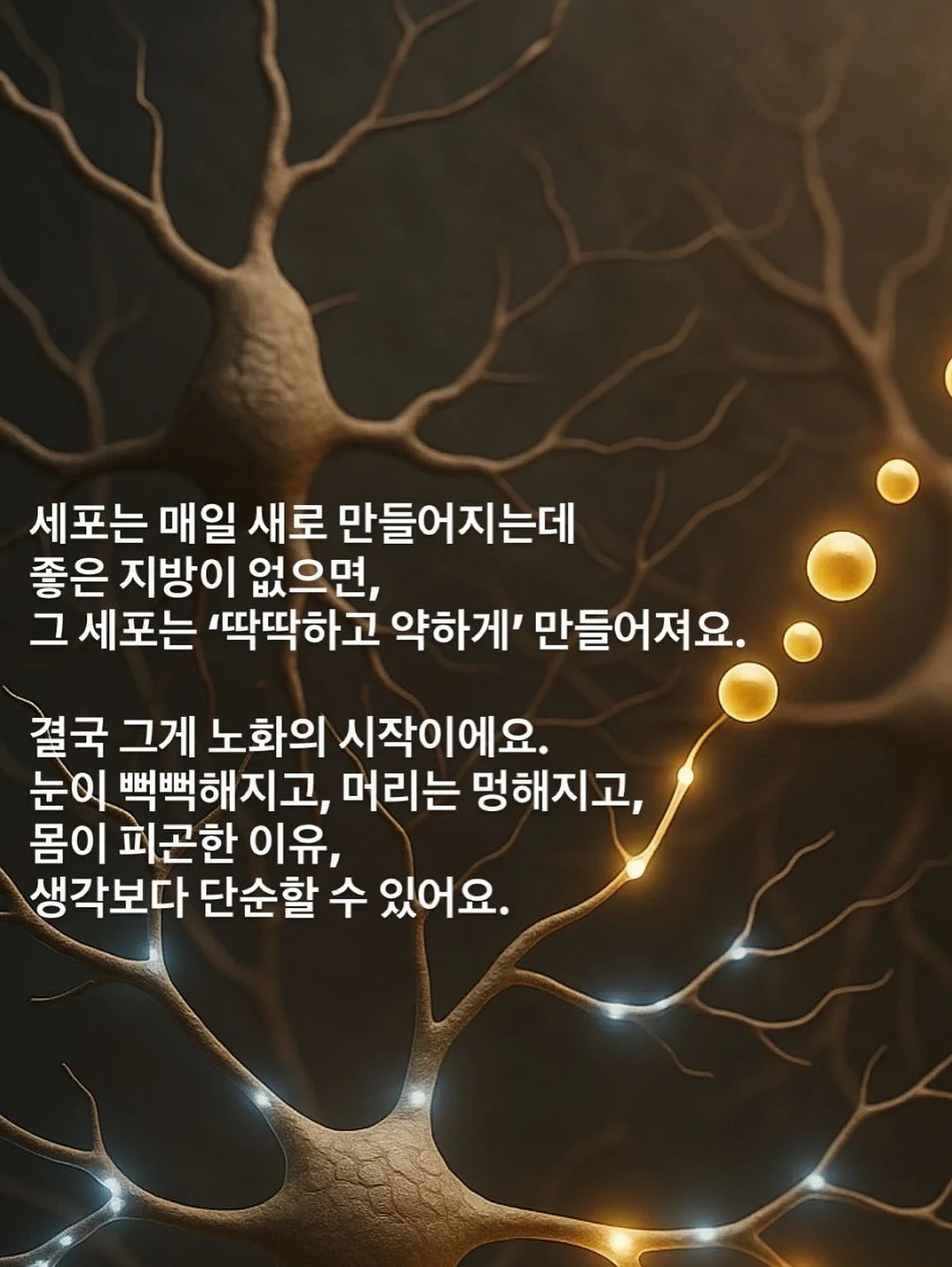 신선복숭아 7