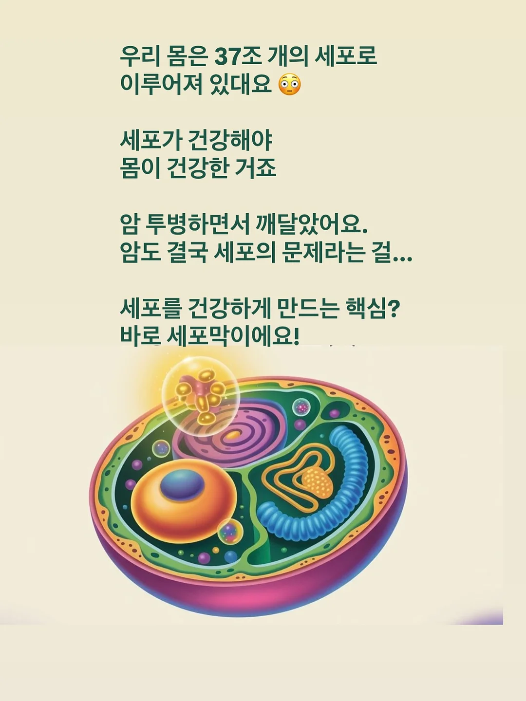신선복숭아 8