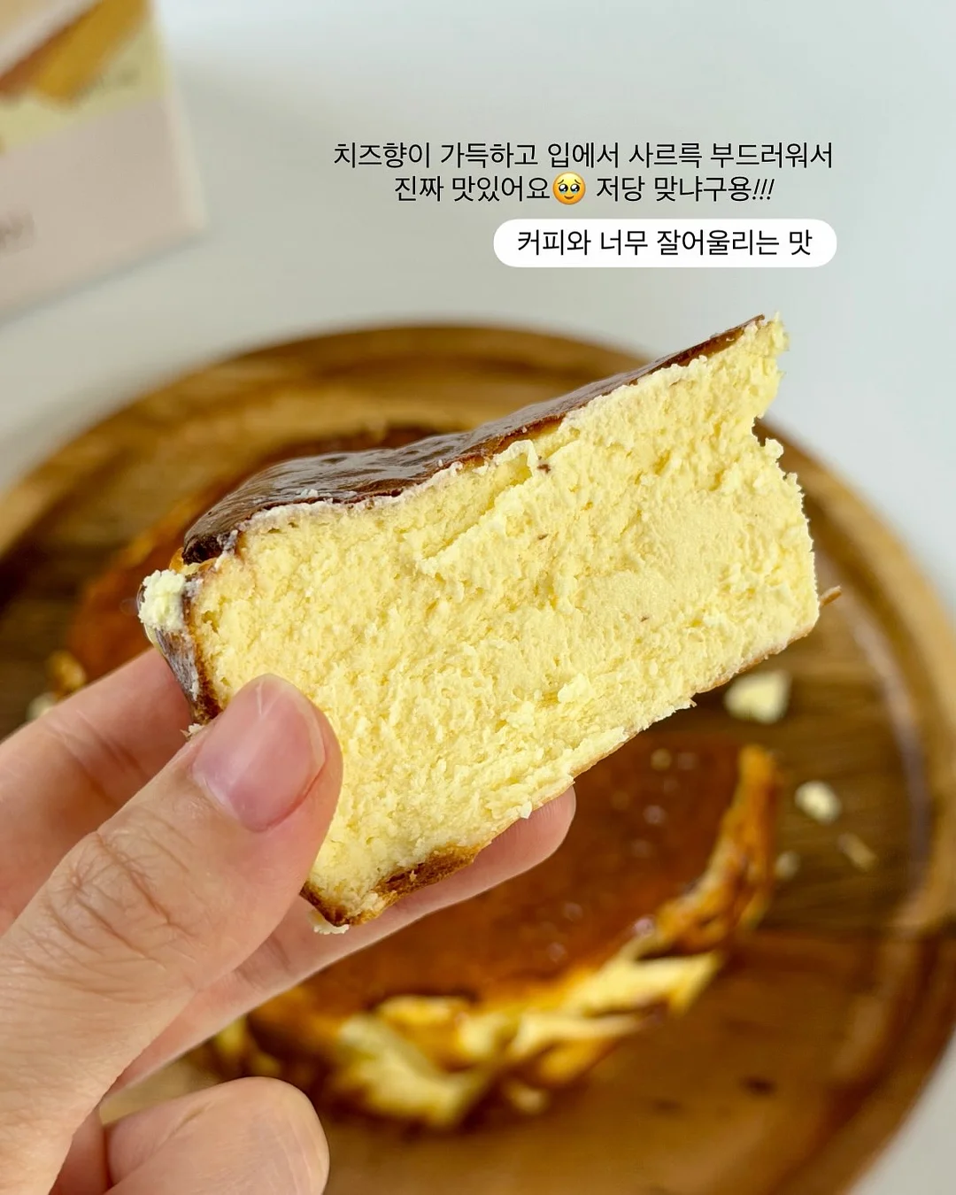 픽시카 14
